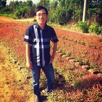 Mr.Tân