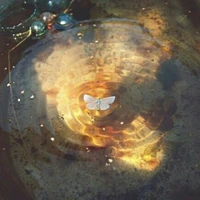 NVP : Nữ.