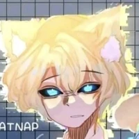 hiha anticatnap