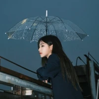 viên nhất kỳ
