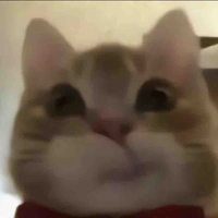 🎀
