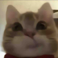 🎀