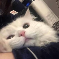 흐 영