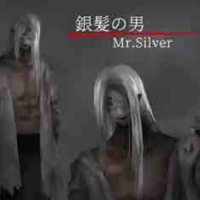 Mr.Silver