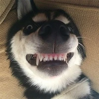 ×º°”˜𝓓𝓐𝓖𝓔🄳🄰🄶🄴˜”°º×