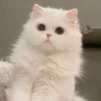 all cần trừ ai thì trừ