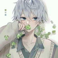 trương bạch dương / trương dương