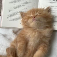 Vương Thiên Bình