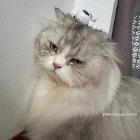 Bí ẩn boy/ girl:))