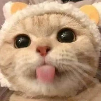 Nhân Vật Bí Ẩn?