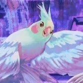 Dưa Hấu [Vẹt Của Hologram]