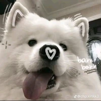 nhỏ t/g