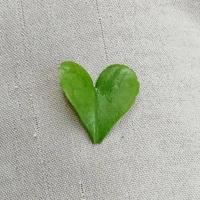Mày Biết Bố Mày Là Ai Không?