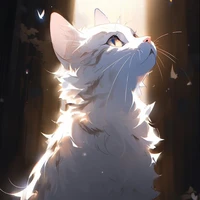 Hệ thống-208 ( tiểu ngao)