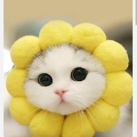 tác giả vô tre:)