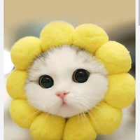 tác giả vô tre:)