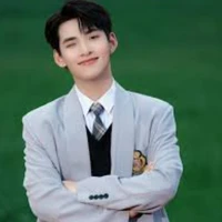 Hùng huỳnh gemini