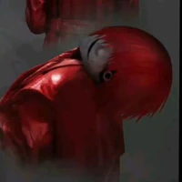 Mr Scarletella