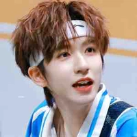 Hạ Tuấn Lâm 