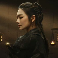 Trịnh Nam Y 