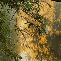 Nhân vật khác 
