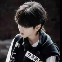 Tả Kỳ Hàm