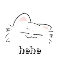 Y/n