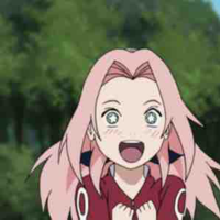 sakura