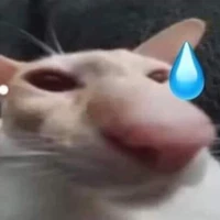 Ẩn tý lát hiện