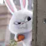 ig:babie_Kandy🐰🎀