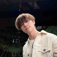 Dino - Lee Chan