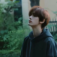 đinh trình hâm
