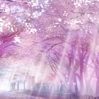 tg(himora sakura)