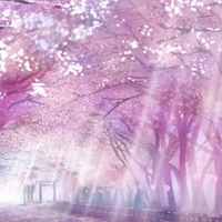 tg(himora sakura)