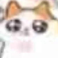 T/g