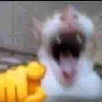 Tác giả 1[Hanami✨]