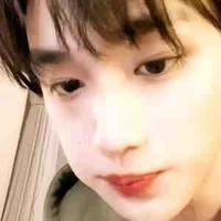 Đinh Trình Hâm 