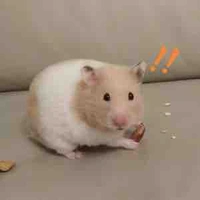 Tác giả cute nhưng ko bằng Nguỵ Anh