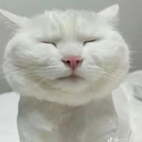 thành viên tổ chức nữ