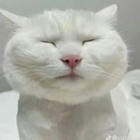 thành viên tổ chức nữ