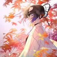 kochou shinobu🦋