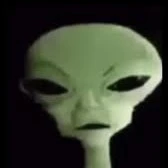 zip zip zip