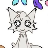mèo điên