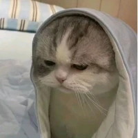 đũy tg rất lười