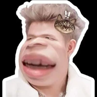 t/g