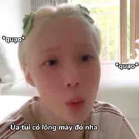 NL_Rinn