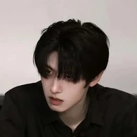 chu chí hâm
