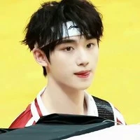 Đinh trình hâm