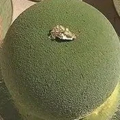 ???