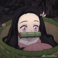 Kamado Nezuko (Em gái của Tanjiro)